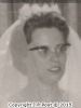 pf041865.jpg