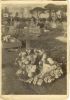 willen van bellen 1914 graf in frankrijk.jpg willen van bellen 1914 graf in frankrijk.jpg